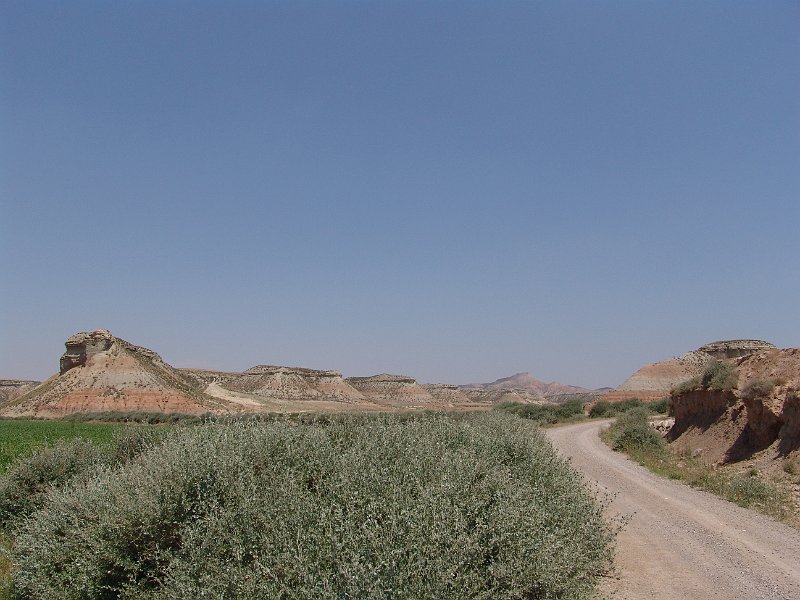 DSC05729.JPG