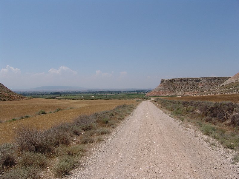 DSC05804.JPG